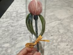 -COSTA COFFEE(斯普瑞斯奥特莱斯店)