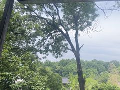 -一江春水·杭帮臻宴(三台山店)