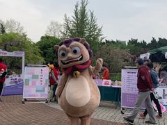 -嘉定紫藤园