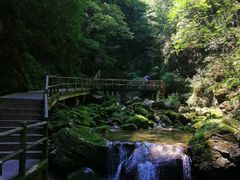-牛背梁国家森林公园