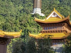 -深圳仙湖植物园