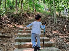 -上海佘山国家森林公园天马山园