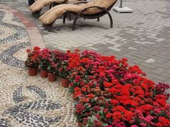 -森居forest休闲咖啡聚集地