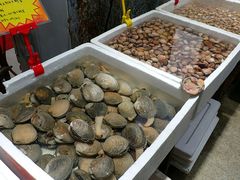 -蚝专家(北滘店)