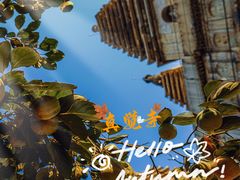 -北京石刻艺术博物馆(五塔寺)