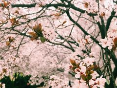 -山东师范大学(千佛山校区)