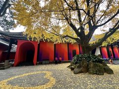 -成都武侯祠博物馆