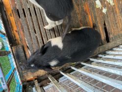 -小蜜蜂农场(凯德七宝购物广场店)