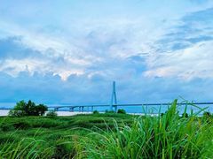 -芒洲湿地公园