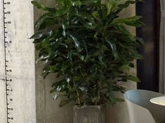 -LA合时健身4PMFIT(花桥旗舰店)