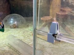 -正佳雨林生态植物园