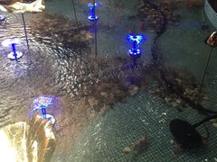 -水晶之星洗浴温泉汗蒸