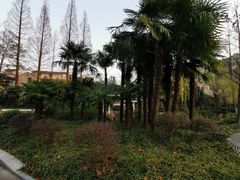 -兰溪青年公园