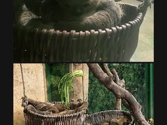 -杭州野生动物世界