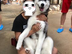 -TrueLove @ Neverland (Husky Cafe)