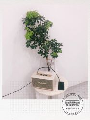 点击看大图 -苗方清颜·祛痘皮肤管理