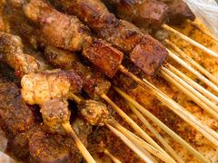 -劳动公园新疆人烤腰子