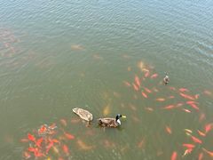 -前关湿地公园