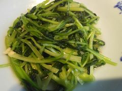 -鸽子窝(宋庄店)