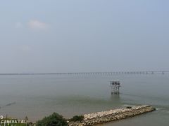 -芒洲湿地公园