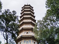 -灵谷景区