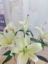 -清疣美疣·痣·斑净肤中心