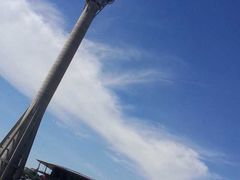 -澳门环岛游湾仔码头