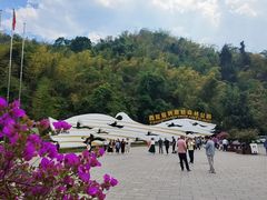 -西双版纳原始森林公园