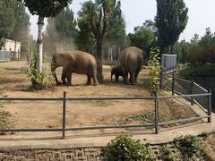 -石家庄市动物园