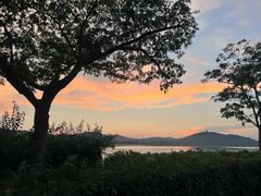 -水上明月·湖景餐厅