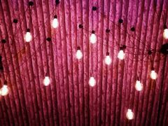 -后院儿·精酿·塔罗Happy Bar