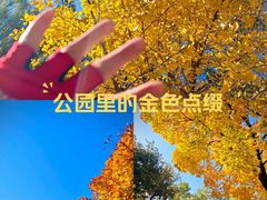 -长白岛森林公园