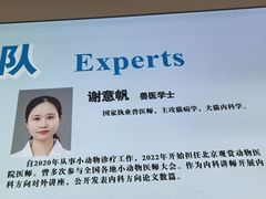 -北京观赏动物医院·24小时大型综合·猫专科·异宠专科