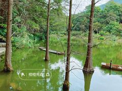 -深圳仙湖植物园