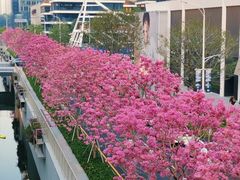-深圳湾万象城(南山店)