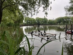 -长兴太湖图影湿地文化园