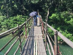 -广西龙虎山风景区