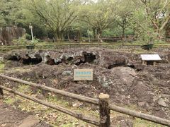 -海口火山口国家地质公园
