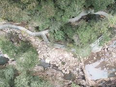 -九龙江国家森林公园