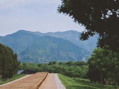 -秦始皇帝陵博物院-丽山园