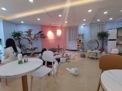 -喵宠乐园·撸猫互动·猫舍