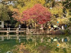 -惠山古镇·寄畅园