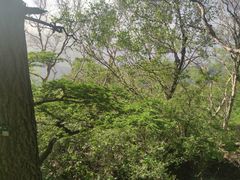 -白草畔自然风景区