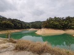 -广州市流溪河国家森林公园