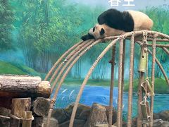 -杭州动物园