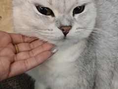 -悠米私人影院(街道口店)