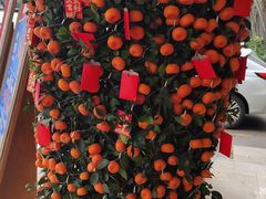 -渔民新村(番禺总店)