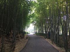 -苏州环秀晓筑养生度假村