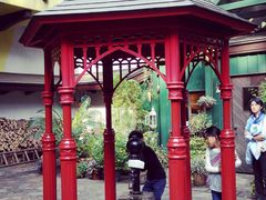 -三鹰之森吉卜力美术馆