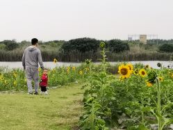 -水八仙生态园